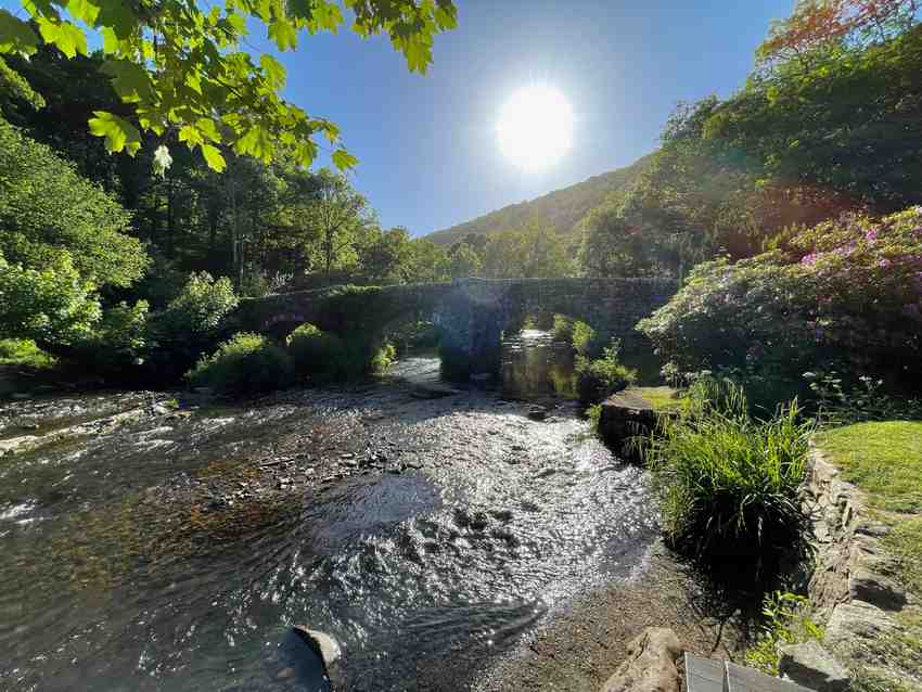 View of Fingle Bridge